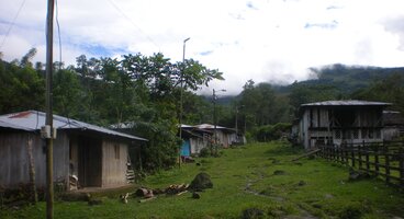 2009