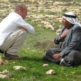 07_02_24_DCO_prevents_olive_trees_planting_in_Avigail_(80)