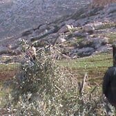 dsc00097