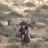 vlcsnap-2010-05-04-11h18m12s129