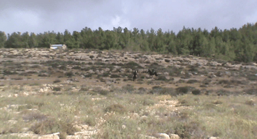 Israeli settlers attack Palestinian children