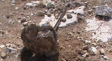 Israeli settlers damage Palestinian fence