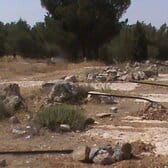 dsc00041