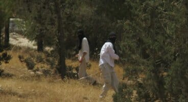 Masked settlers attack Palestinian family in At-Tuwani