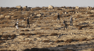 2011-07-18 settlers from Havat Ma'on attack internationals in Meshakha hill