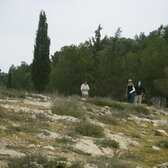 DSCF3191