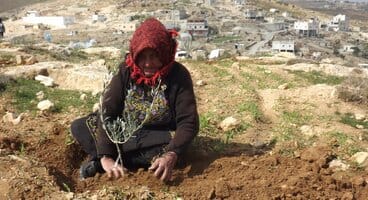 2012-02-26 Nonviolent actions in South Hebron Hills