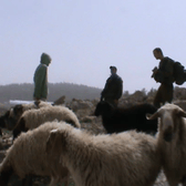 vlcsnap-2012-03-21-10h15m24s102