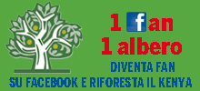 1 Fan 1 Albero